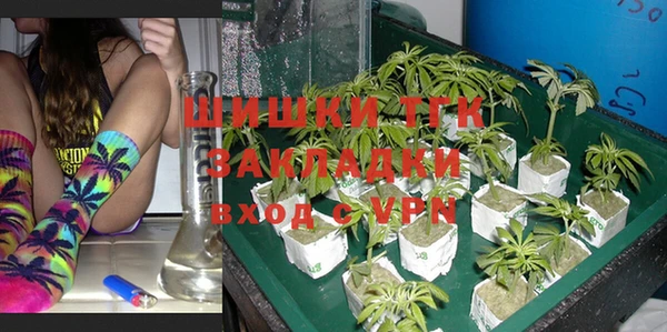 таблы Богородицк