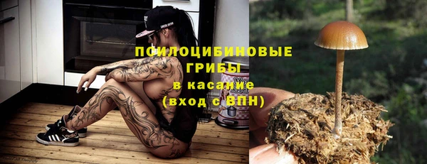 таблы Богородицк